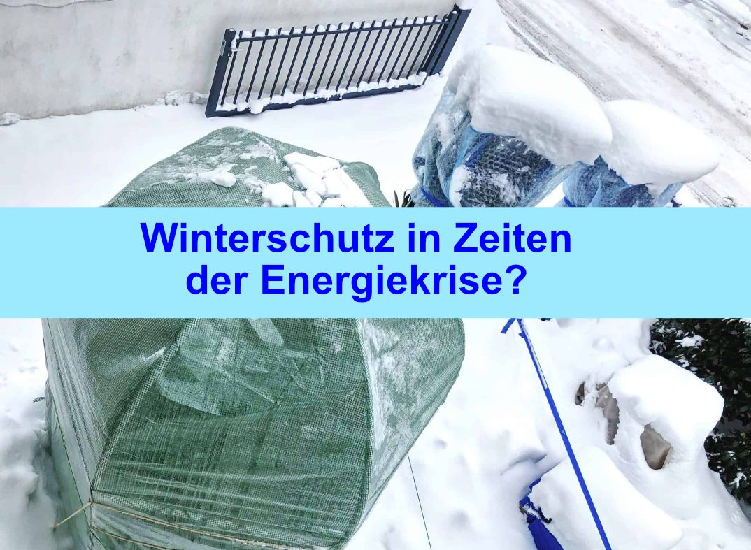 Winterschutz in Zeiten der Energiekrise? 1