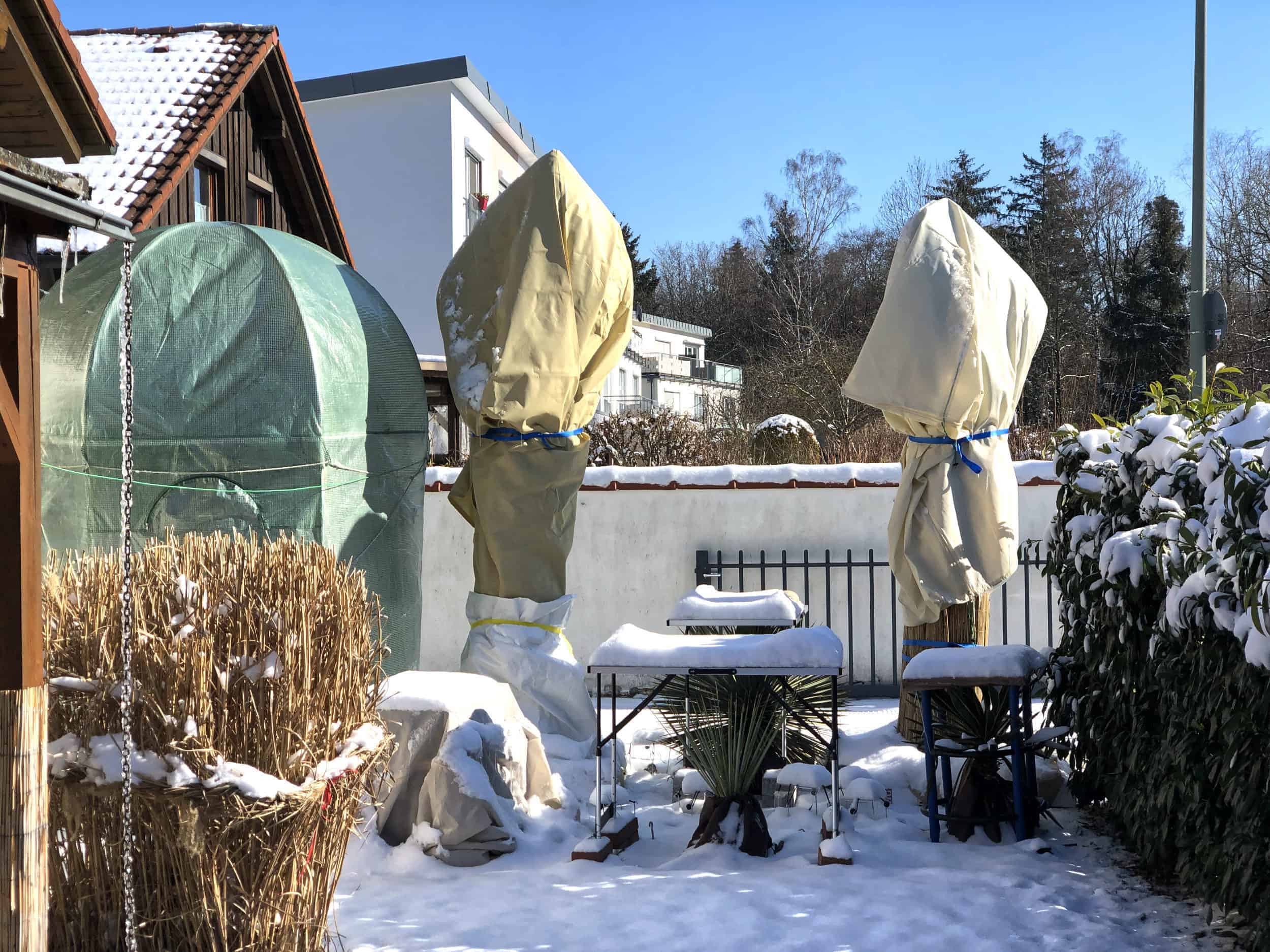 Mein Exotengarten: chronologischer Winterschutz 3