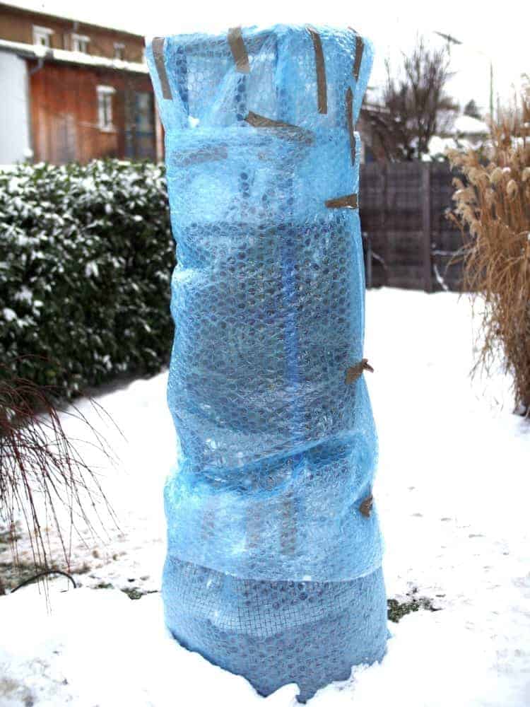 Praxistest im Garten: Winterschutz-Gestell (palmen-winterschutz.de) 2