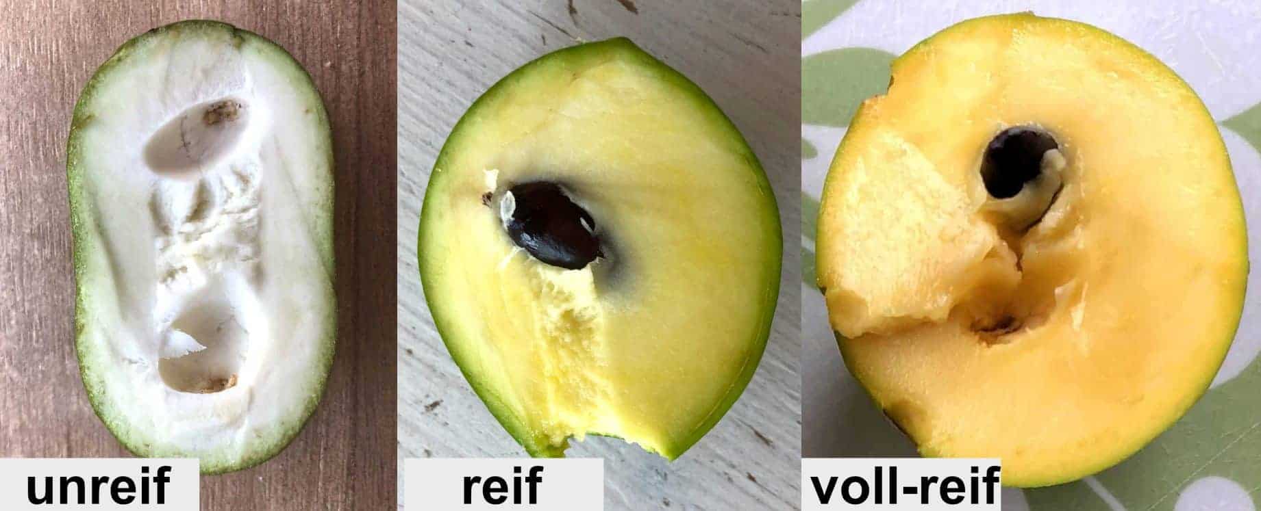 Früchte Vergleich